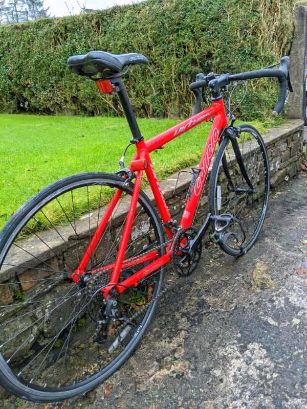 carrera virtuoso road pro